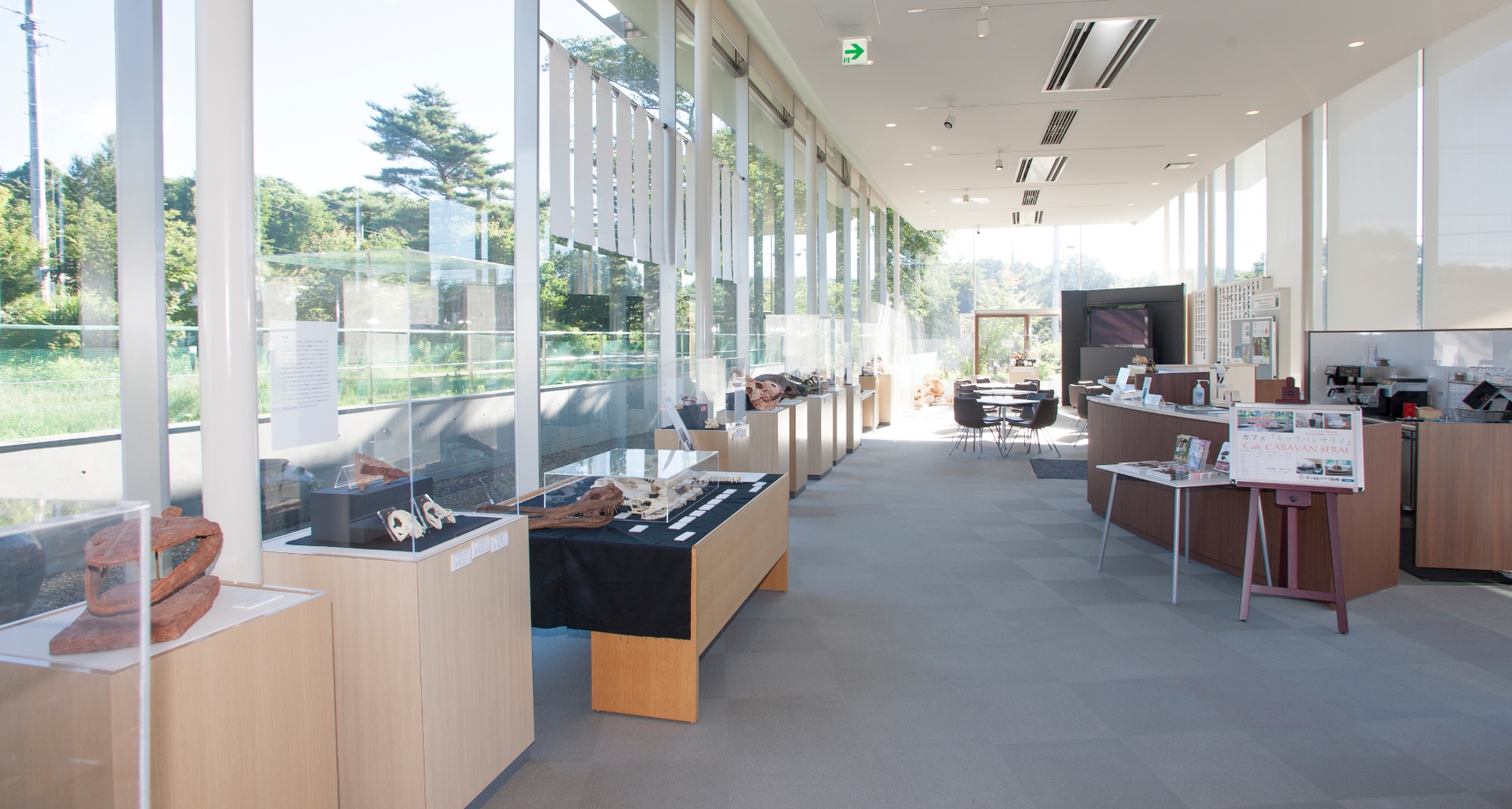museum cafe 2