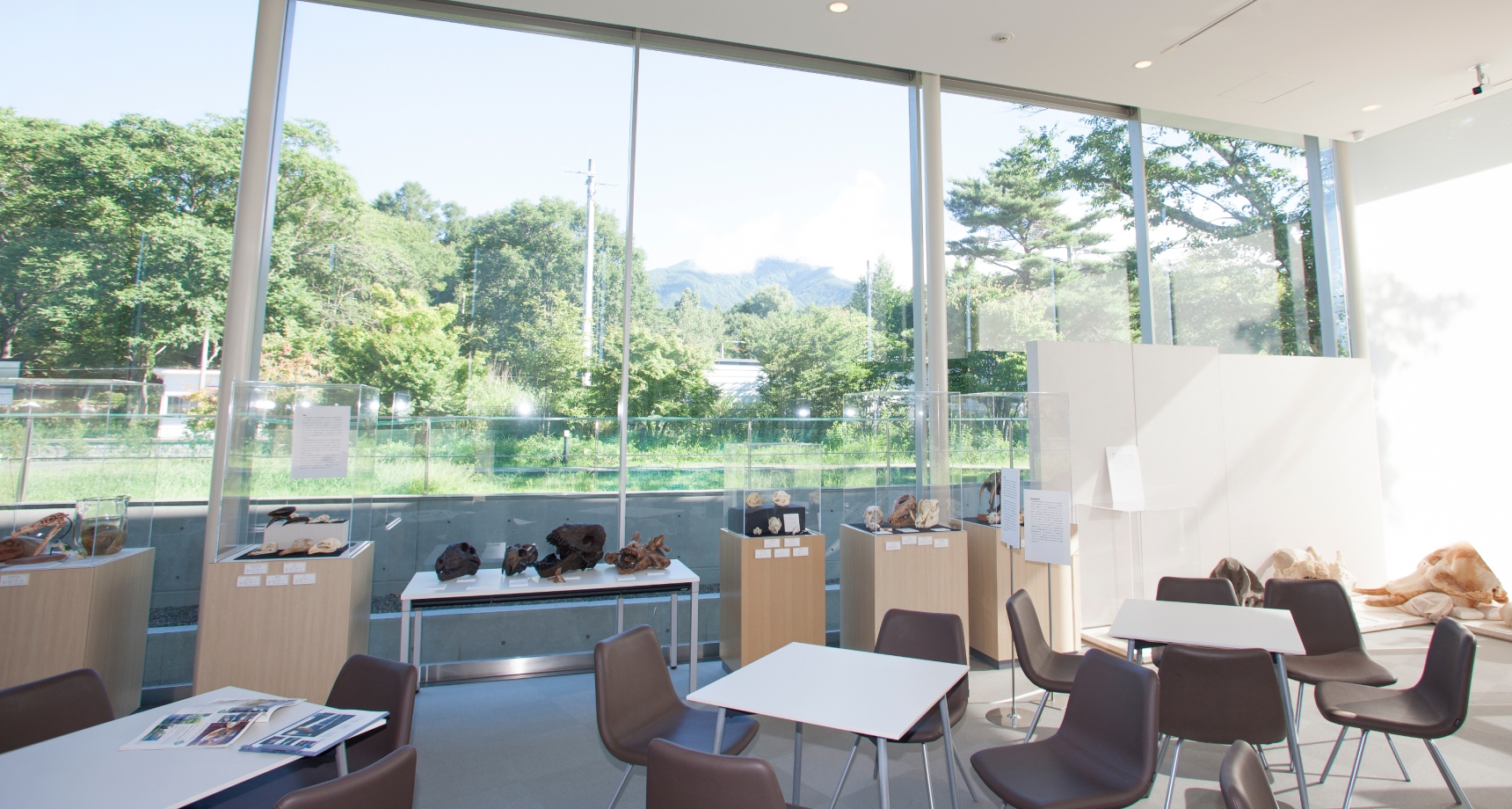 museum cafe 3